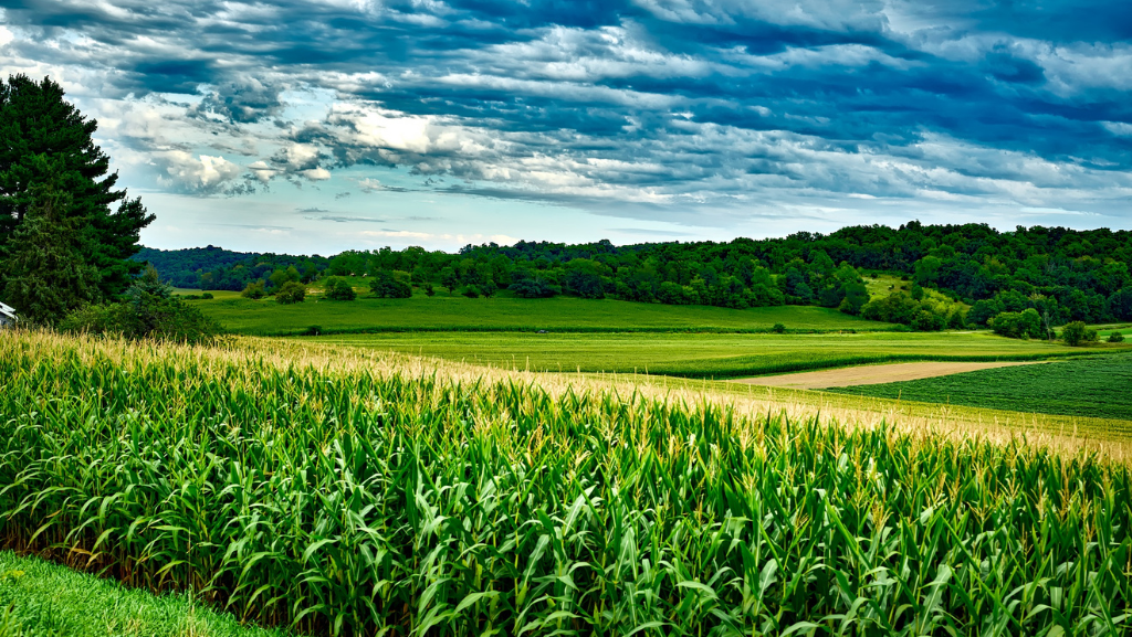 OOH in Wisconsin: The State by Numbers <br/> <span style='color:#000000;font-size: 18px;'>Friday Fast Fact </span>